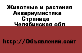 Животные и растения Аквариумистика - Страница 2 . Челябинская обл.